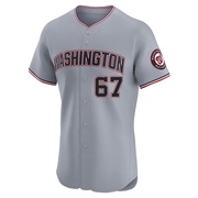 Gray Elite Kyle Finnegan Men's Washington Nationals Road Jersey